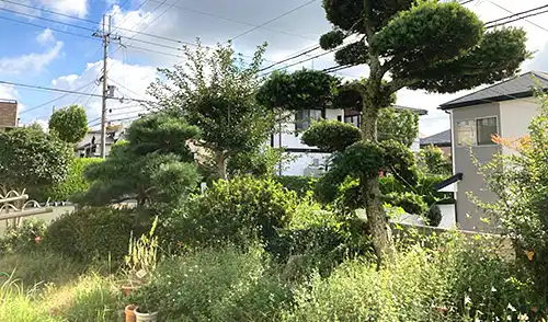 神戸市西区K様邸・草刈・除草・伐採 / 施工前
