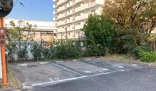 神戸市中央区・CHハーバーランド住宅様・草刈・低木刈込 / 施工前