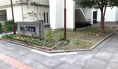 神戸市中央区・八雲第二住宅様・草刈・低木伐採 / 施工後