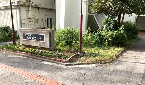 神戸市中央区・八雲第二住宅様・草刈・低木伐採 / 施工前