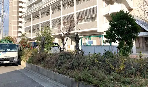 神戸市兵庫区・フレール浜山様・高木超強剪定 / 施工後