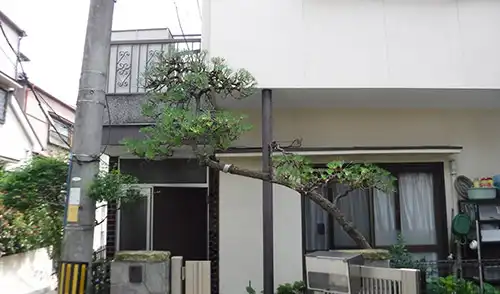 神戸市垂水区T様邸・剪定 / 施工後