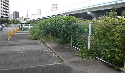 神戸市中央区・脇の浜駐車場②様・草刈・除草 / 施工前