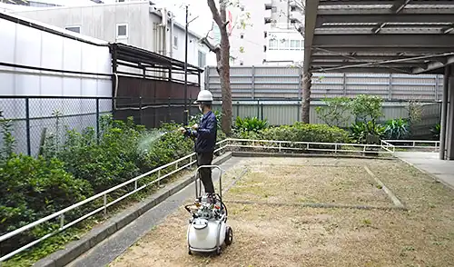 神戸市中央区・磯上住宅様・年間管理・薬剤散布(害虫駆除) / 施工前