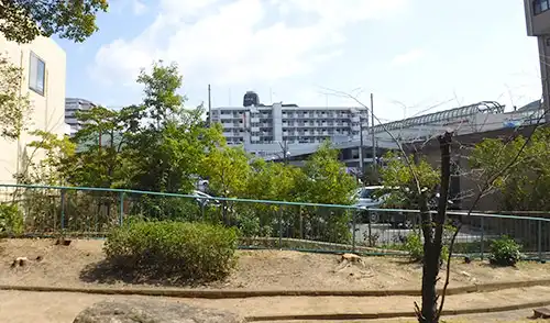 神戸市東灘区・大石東住宅①様・伐採 / 施工後