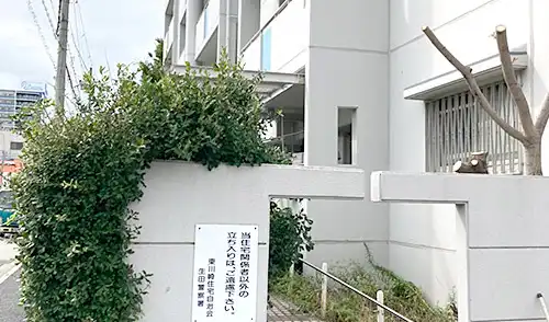神戸市中央区・東川崎住宅様・高木強剪定 / 施工後
