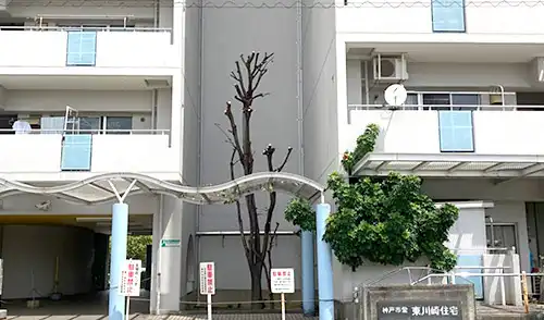神戸市中央区・東川崎住宅様・強剪定・伐採 / 施工後