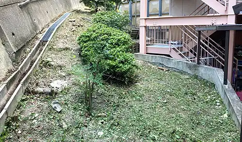 神戸市中央区・ふれんど神戸中山手苑様・草刈・低木刈込 / 施工後
