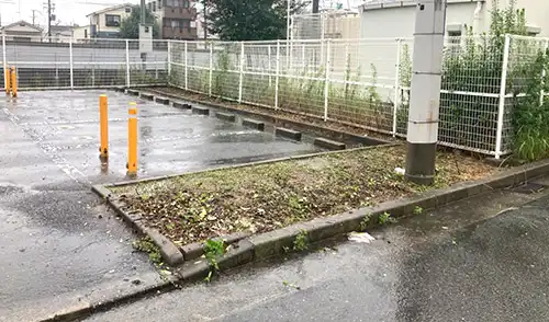 神戸市灘区・上河原住宅様・低木伐採・草刈 / 施工後