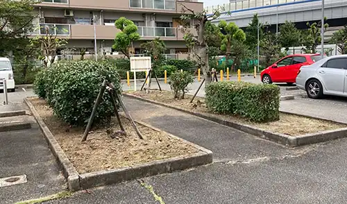 神戸市東灘区・青木第二住宅様・剪定・除草 / 施工後