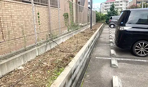 神戸市中央区・新生田住宅6号前駐車場様・伐採・除草 / 施工後