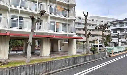 神戸市兵庫区・夢野台住宅様・高木伐採・高木強剪定 / 施工後