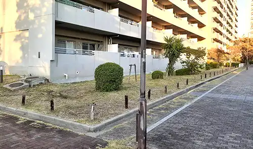 神戸市灘区・ウェストコート9番館様・年間管理・草刈・低木刈込 / 施工後