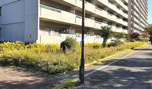神戸市灘区・ウェストコート9番館様・年間管理・草刈・低木刈込 / 施工前