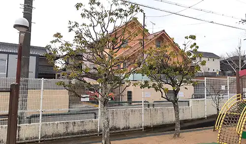 神戸市北区・六甲藤原台幼稚園様・年間管理・樹木剪定 / 施工後