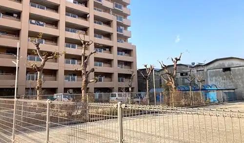 神戸市兵庫区・浜中住宅様・高木強剪定・高木伐採 / 施工後