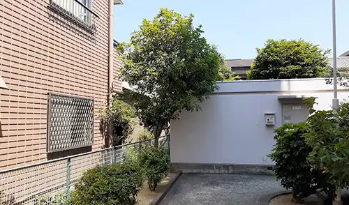 神戸市東灘区・緊急対応様・枯木高木伐採・枯れ枝撤去 / 施工後