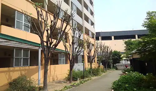 神戸市灘区・新在家南住宅3号棟様・高木切り下げ / 施工後