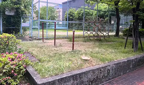 神戸市灘区・友田住宅様・枯れ木伐採・枯れ枝撤去 / 施工後