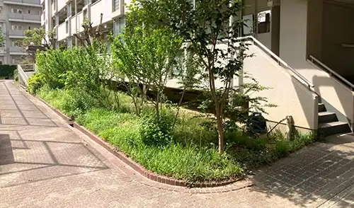 神戸市中央区・港島住宅73号棟様・草刈・除草剤散布 / 施工前