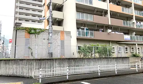 神戸市中央区・小野柄住宅様・高中木伐採・生垣剪定 / 施工後