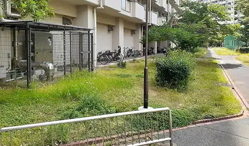 神戸市中央区・港島住宅71号棟様・草刈・低木刈込 / 施工前