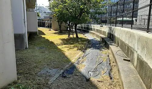 神戸市東灘区・深江第二住宅様・草刈・低木刈込 / 施工後