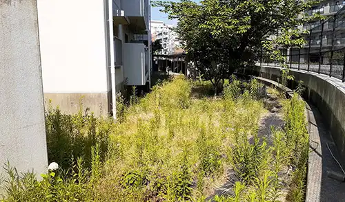 神戸市東灘区・深江第二住宅様・草刈・低木刈込 / 施工前
