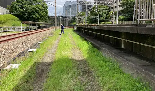 神戸市西区・西神中央駅様・草刈・除草 / 施工前