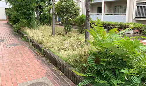 神戸市東灘区・魚崎南住宅様・低木刈込・草刈 / 施工前