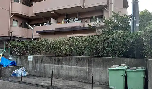 神戸市中央区・旭中央住宅様・障害枝剪定・中木刈込 / 施工後