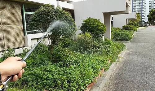 神戸市東灘区・本山第4住宅様・薬剤散布(害虫駆除) / 施工前