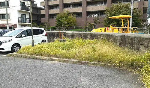 神戸市東灘区・本山第4住宅駐車場様・人力除草 / 施工前