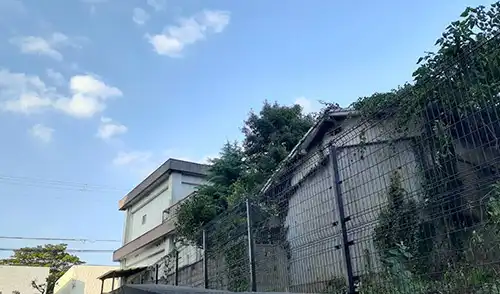 神戸市西区N様邸・高木伐採・人力除草・実生木撤去・除草剤散布 / 施工後