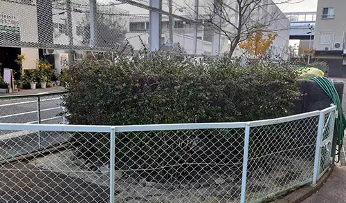 神戸市東灘区・青木南住宅様・年間管理・草刈・低木刈込 / 施工前