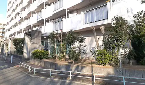 神戸市兵庫区・菊水住宅5.6号棟高木切下げ / 施工後