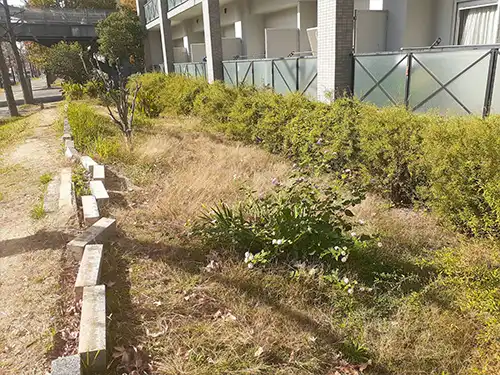 神戸市灘区HAT神戸灘の浜住宅様 / 年間管理・草刈・低木刈込 / 施工前