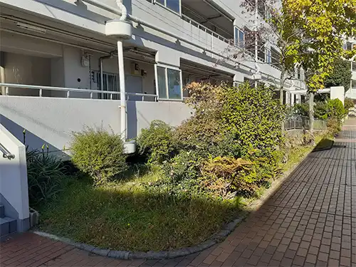 神戸市東灘区北青木住宅様 / 年間管理・草刈・低木刈込 / 施工前