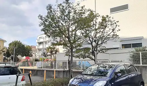 神戸市灘区・灘北第一住宅駐車場様・高木剪定・低木刈込 / 施工後