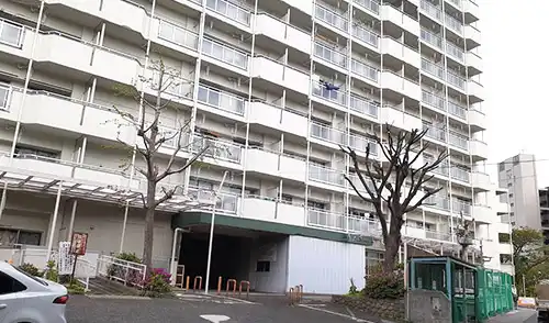 神戸市長田区・房王寺住宅8号棟様・高木強剪定・高木伐採 / 施工後