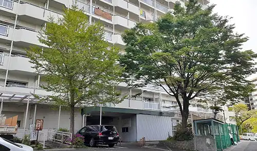 神戸市長田区・房王寺住宅8号棟様・高木強剪定・高木伐採 / 施工前
