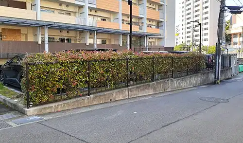 神戸市中央区・新中山手住宅3号棟駐車場様・生垣伐採 / 施工前