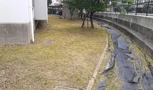 神戸市東灘区・深江南第二住宅様・年間管理・草刈・低木刈込 / 施工後