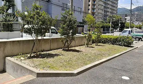 神戸市東灘区・本山第三住宅様・年間管理・草刈・低木刈込 / 施工後