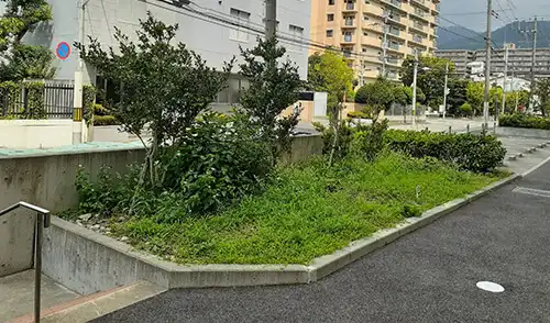 神戸市東灘区・本山第三住宅様・年間管理・草刈・低木刈込 / 施工前