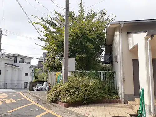 神戸市長田区・明泉寺住宅様・高木伐採・低木伐採 / 施工前