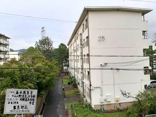 神戸市北区・山の街住宅様・高木強剪定 / 施工後