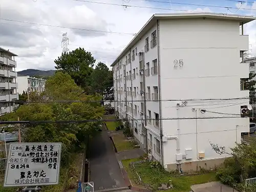 神戸市北区・山の街住宅様・高木強剪定 / 施工前