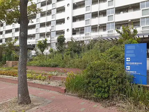 神戸市中央区・港島住宅外周・高低木伐採・草刈 / 施工前