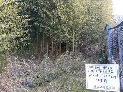 神戸市須磨区月見山地区 / 竹・樹木等伐採 / 施工前